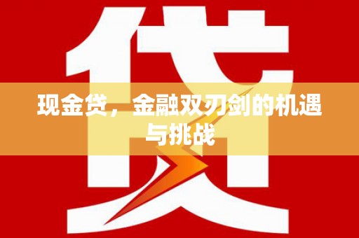 南丹现金贷，金融双刃剑的机遇与挑战