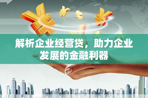 南丹解析企业经营贷，助力企业发展的金融利器