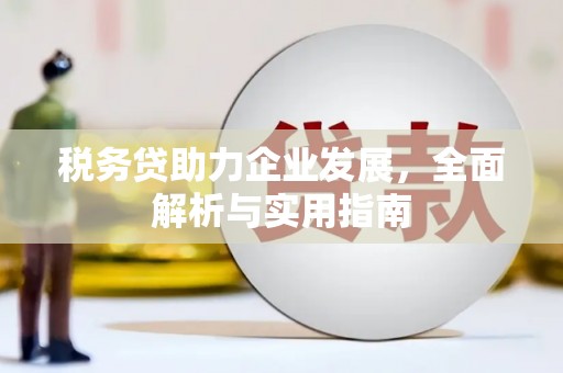 南丹税务贷助力企业发展，全面解析与实用指南