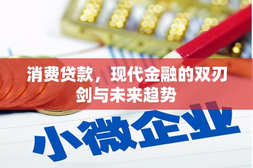 南丹消费贷款，现代金融的双刃剑与未来趋势