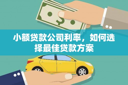 南丹小额贷款公司利率，如何选择最佳贷款方案