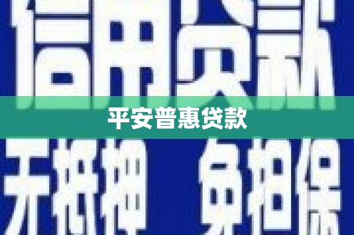 南丹平安普惠贷款