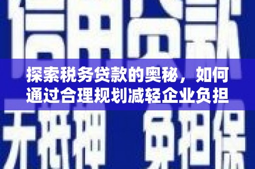 南丹探索税务贷款的奥秘，如何通过合理规划减轻企业负担