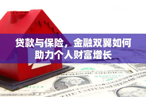 南丹贷款与保险，金融双翼如何助力个人财富增长
