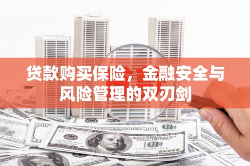 南丹贷款购买保险，金融安全与风险管理的双刃剑