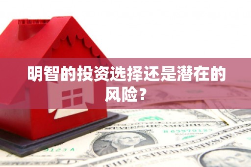 南丹明智的投资选择还是潜在的风险？