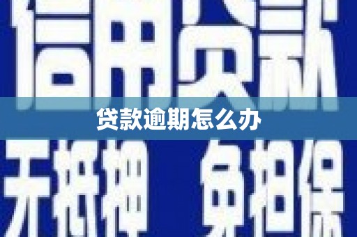 南丹贷款逾期怎么办