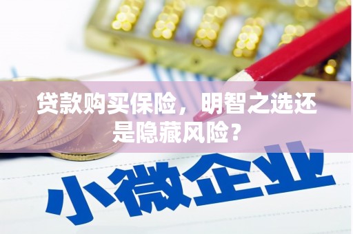 南丹贷款购买保险，明智之选还是隐藏风险？