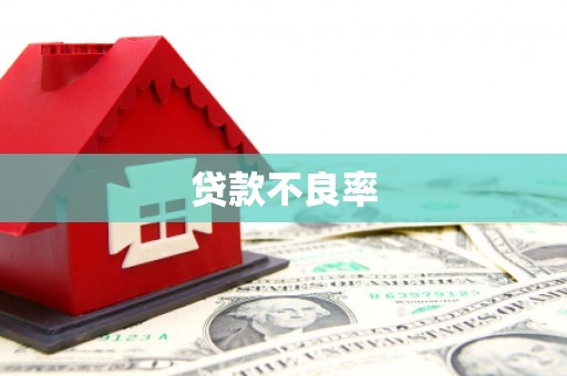 南丹贷款不良率