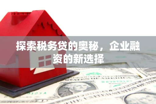 南丹探索税务贷的奥秘，企业融资的新选择