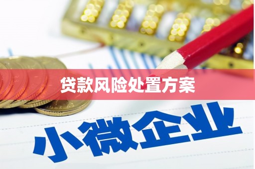 南丹贷款风险处置方案
