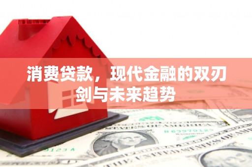南丹消费贷款，现代金融的双刃剑与未来趋势