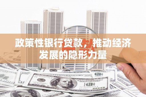 南丹政策性银行贷款，推动经济发展的隐形力量