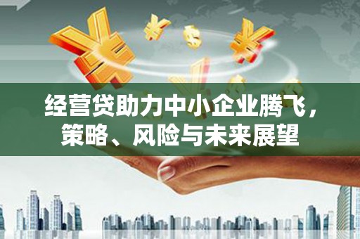 南丹经营贷助力中小企业腾飞，策略、风险与未来展望