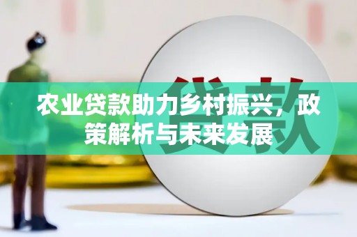 南丹农业贷款助力乡村振兴，政策解析与未来发展