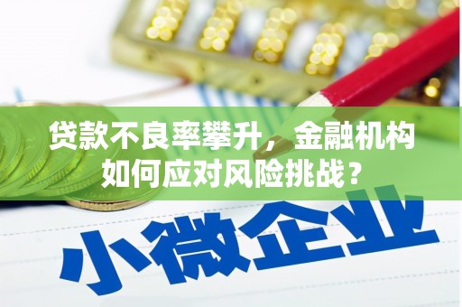 南丹贷款不良率攀升，金融机构如何应对风险挑战？