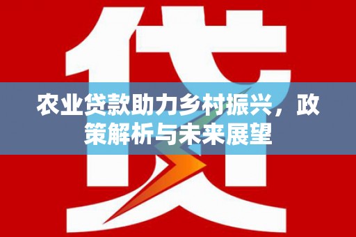 南丹农业贷款助力乡村振兴，政策解析与未来展望