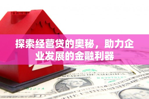 南丹探索经营贷的奥秘，助力企业发展的金融利器