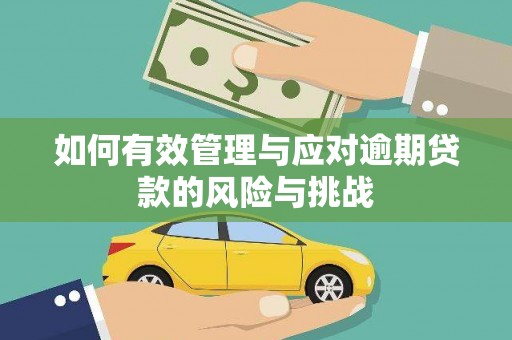 南丹如何有效管理与应对逾期贷款的风险与挑战