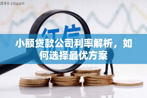 南丹小额贷款公司利率解析，如何选择最优方案