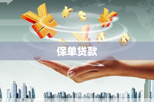 南丹保单贷款
