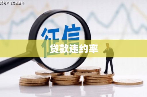 南丹贷款违约率