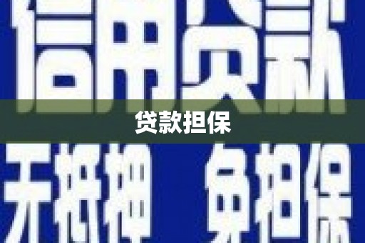 南丹贷款担保