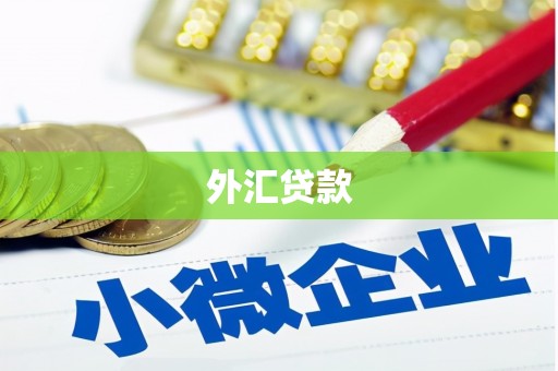 南丹外汇贷款