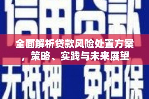 南丹全面解析贷款风险处置方案，策略、实践与未来展望