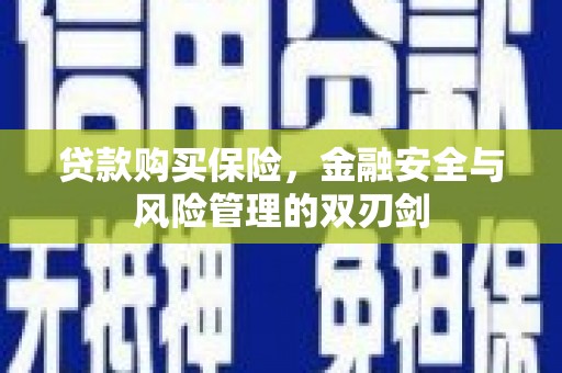 南丹贷款购买保险，金融安全与风险管理的双刃剑