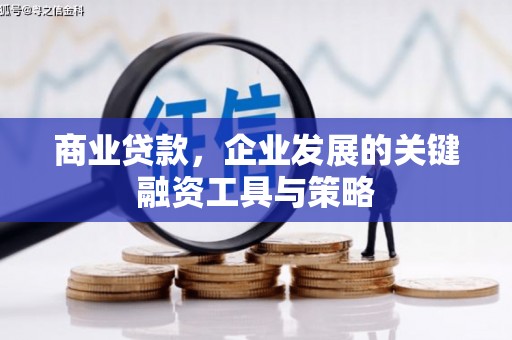 南丹商业贷款，企业发展的关键融资工具与策略
