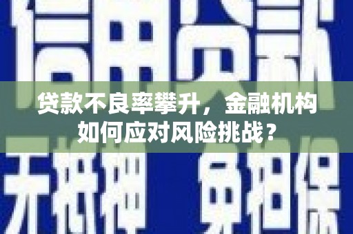 南丹贷款不良率攀升，金融机构如何应对风险挑战？