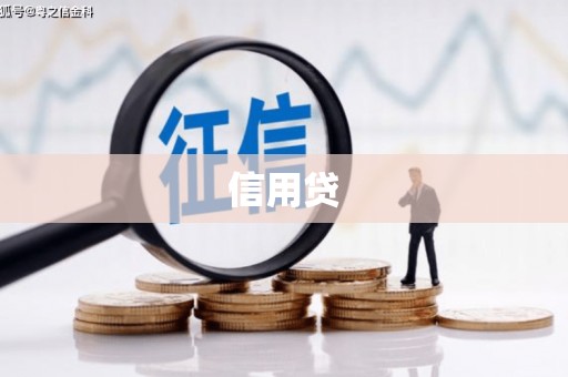 南丹信用贷