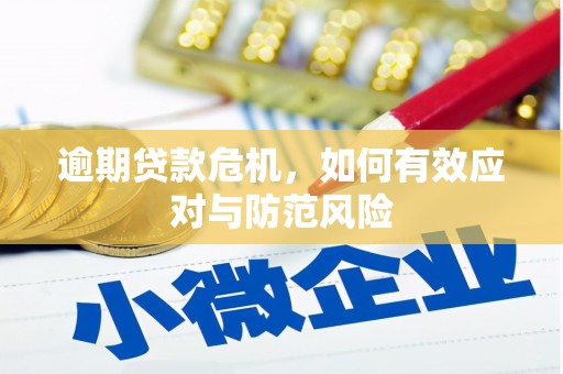 南丹逾期贷款危机，如何有效应对与防范风险