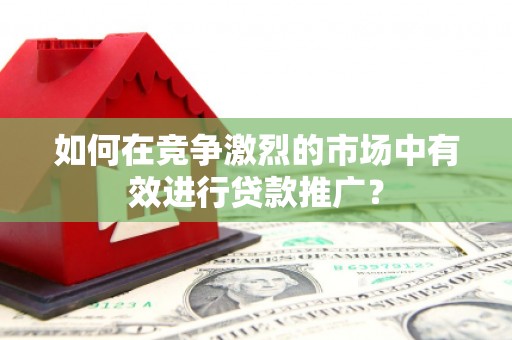 南丹如何在竞争激烈的市场中有效进行贷款推广？