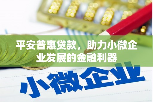 南丹平安普惠贷款，助力小微企业发展的金融利器
