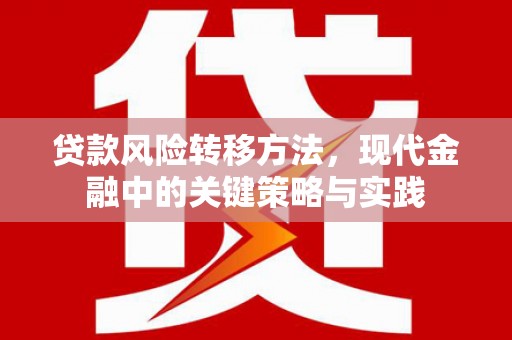 南丹贷款风险转移方法，现代金融中的关键策略与实践