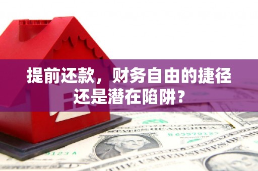 南丹提前还款，财务自由的捷径还是潜在陷阱？