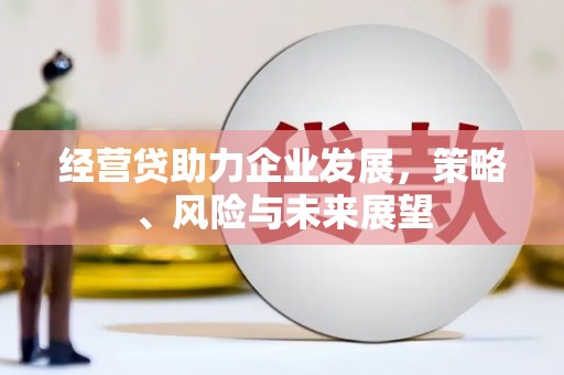 南丹经营贷助力企业发展，策略、风险与未来展望