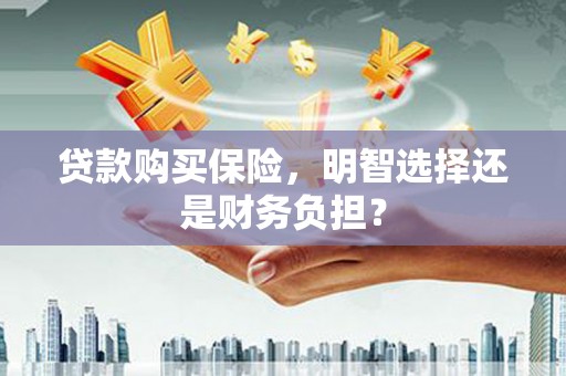 南丹贷款购买保险，明智选择还是财务负担？
