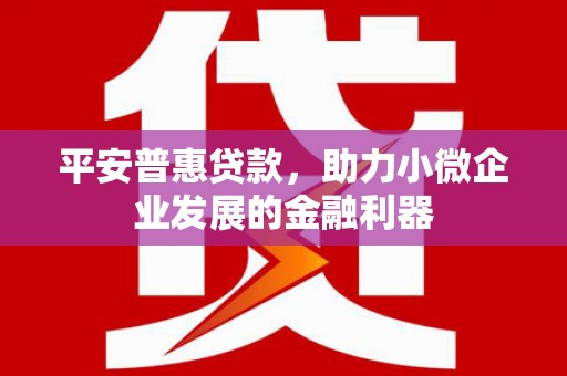 南丹平安普惠贷款，助力小微企业发展的金融利器