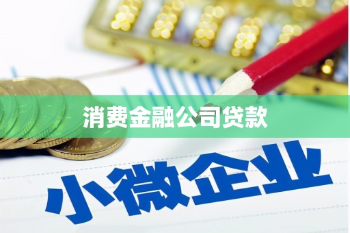 南丹消费金融公司贷款