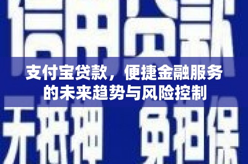 南丹支付宝贷款，便捷金融服务的未来趋势与风险控制