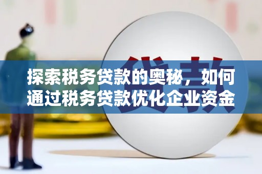 南丹探索税务贷款的奥秘，如何通过税务贷款优化企业资金流