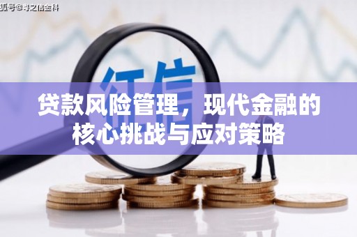 南丹贷款风险管理，现代金融的核心挑战与应对策略