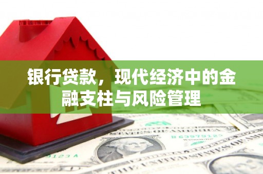 南丹银行贷款，现代经济中的金融支柱与风险管理