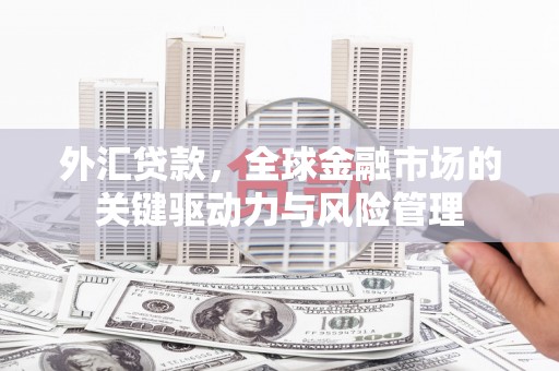 南丹外汇贷款，全球金融市场的关键驱动力与风险管理