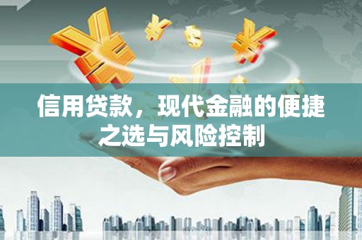 南丹信用贷款，现代金融的便捷之选与风险控制