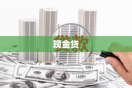 南丹现金贷