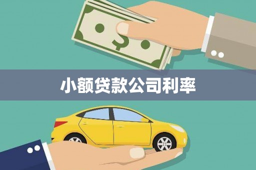 南丹小额贷款公司利率
